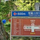 운수암 등산로 이미지