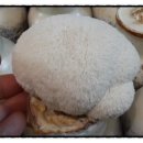 참들농장 이미지