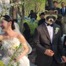 재성축사 | W9. 봄날의 야외 결혼식_웨딩스위치 가창점