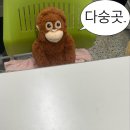 서재2태권도장 | 환영합니다🤗