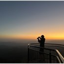 하루가 | 호주 시드니 블루마운틴 선셋 별보기 투어 후기, 하루가 특별해지는 일정