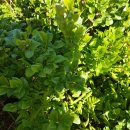 명랑공인중개사사무소 이미지