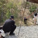 석모도 부자캠핑 이미지