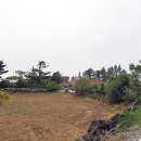 오월건축사사무소 이미지