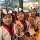 용인대영웅태권도장 이미지