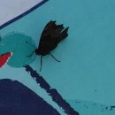 신선약수터 이미지