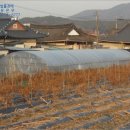 샛골축산 네이버블로그