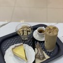 올카 (orca) 이미지