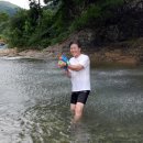 숲속나라 이미지