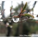 라이온 스크린골프 이미지