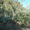 전라도농장 이미지