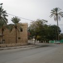 삭개오와뽕나무 이미지