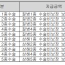 수술비(1~5종)보장 특별약관[무배당 내Mom같은 어린이보험1907] 이미지