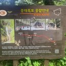 생생1킬로 이미지