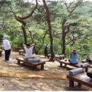 남산공원길2 이미지