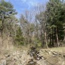 이랑둔내펜션 | [횡성] 횡성독채펜션 추천! 조용하게 힐링할 수 있는 이랑둔내휴양림펜션 후기