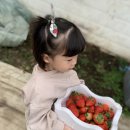 이슬농원 이미지