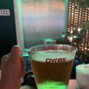 생활맥주 동탄여울공원점 이미지