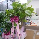 조은복지용구 이미지