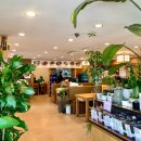 속초명가 이미지