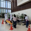 배미수영장 이미지