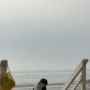 강촌체험낚시터 | 충남 태안군 비비오네펜션 오션뷰 감성숙소