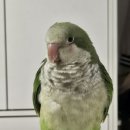 몽몽이엠파크 이미지