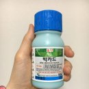 풍년종묘농약사 이미지