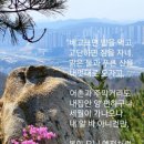 일류보습학원 | 선가 어록