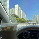마산빵집 <세리브레드> 비건빵 찾는 다면 바로 여기 ! 빵지순례 후기