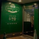 두젠틀 | [강아지카페]서울 강아지카페 데이트팝 제휴점 두젠틀 데이트 후기