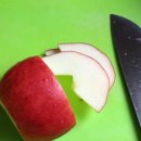 사과나무 펜션 이미지