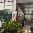 양지유황천 이미지