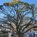 매일상회 | 이천 가볼만한곳 대형카페 맛집 이진상회