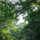 서귀포자연휴양림 이미지