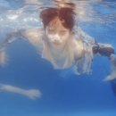 별꽃달나무 - 의성군 도리원3길 9-6 | 4월, 꽃 남방 정든 훈장을 쥐고 세상에 그대 젊음이 울리면 난