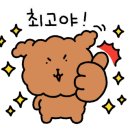 박철환동물병원 이미지