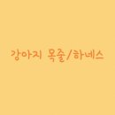 야옹아 멍멍해봐 삼각점 이미지