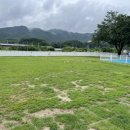 오도도 노리 이미지