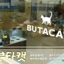 부타 - 강동구 천호대로155길 11 | [마곡/발산] 마곡고양이카페 🐈‍고양이를 '부타캣' 후기