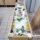 의정부연세요양병원 이미지