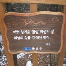 와룡공원길 이미지