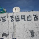 싸목싸목 걷는 섬! 여수 낭도 (풍경사진) 2023.3.15 이미지