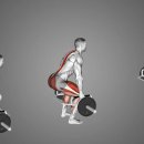 헬스버스 이미지