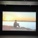 사진촬영기법 / 강좌번호 8 | [8월 전시회]그라운드시소 이스트 알렉스키토 사진전 상세후기(짐보관, 도슨트, 굿즈샵)