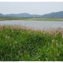 교동면 난정저수지 이미지