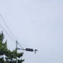 동선샛바람길 이미지