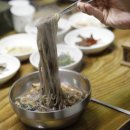 콧등치기
