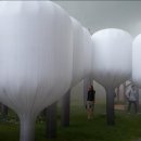 사이박천 이미지