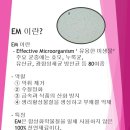 가족명품세탁 이미지